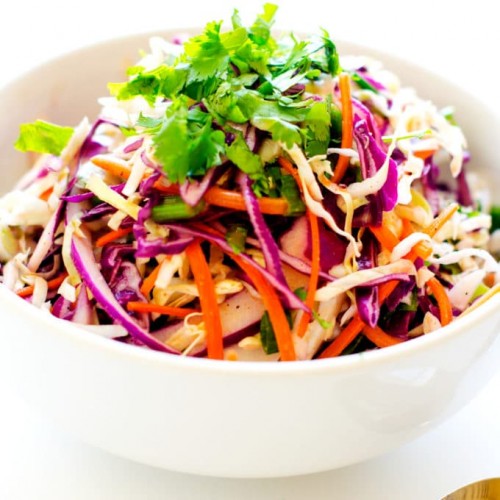 coleslaw dressing with orange juice Mandarin Orange Coleslaw