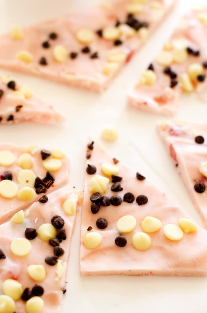 Strawberry Chocolate Chip Yogurt Bark - You won't believe how excited your kids get over this easy to make snack! - WendyPolisi.com