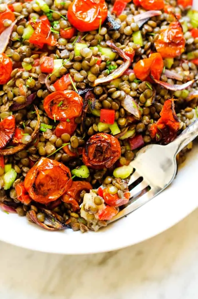 Close up photo of a fork holding lentil salad resting in a bowl of lentil salad with roasted tomatoes, onions, and garlic.