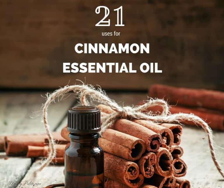 21 for Cinnamon Essential Oil - Wendy Polisi
