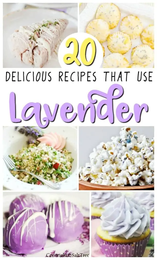 Looking to mix things up in the kitchen? Here are 20 recipes that use lavender that will inspire you to try cooking with lavender.