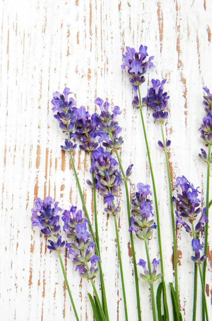 Ways to Use Lavender Essential Oil