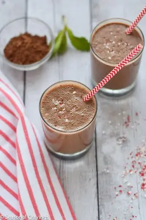 Healthy Mint Chocolate Smoothie - Gluten Free Recipes for Christmas
