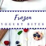 Log Pin for Frozen Yogurt Bites