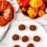 Photo of a plate of a prepared Chocolate Gummy Recipe with fall decor behind it.