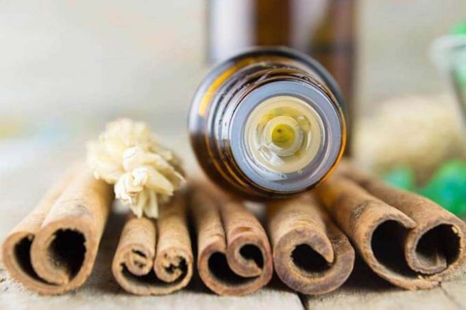 Photo of a bottle of cinnamon essential oil on top of cinnamon sticks.