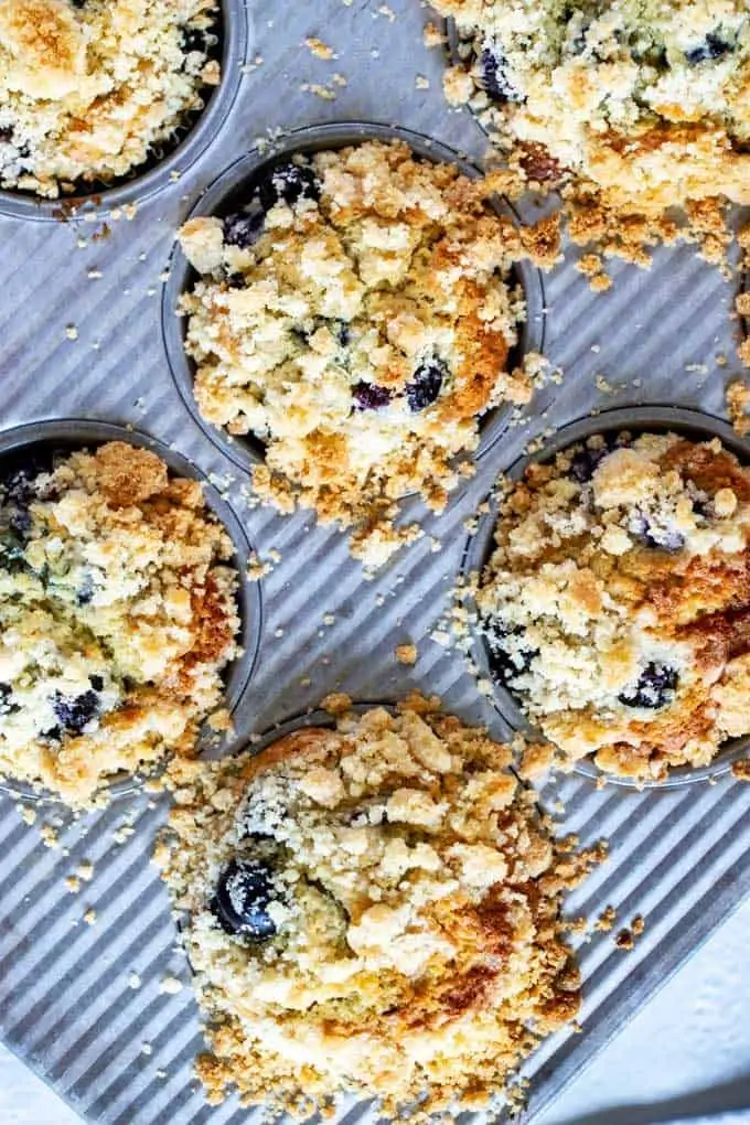 Close up overhead photo of blueberry quinoa muffins in a muffin tin that have been baked.