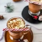 Photo of two glasses slow cooker hot chocolate on wodden plates with holiday decor surrounding them.