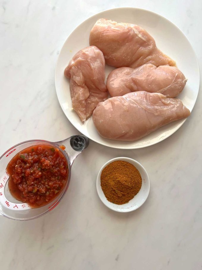 Overhead photo of chicken breast, taco seasoning, and salsa.