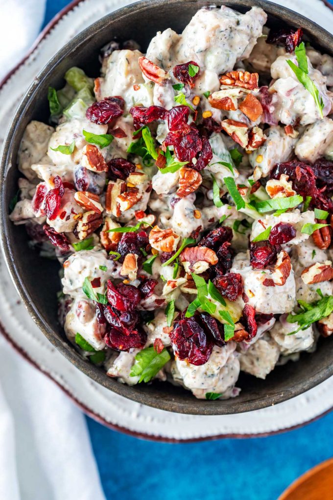 Overhead photo of a bowl of cranberry chicken salad.