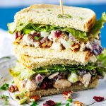 Square close up photo of a cranberry chicken salad sandwich.