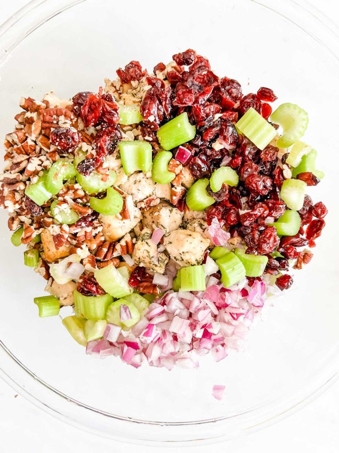 A bowl of chicken, cranberries, pecans, celery, and red onion.