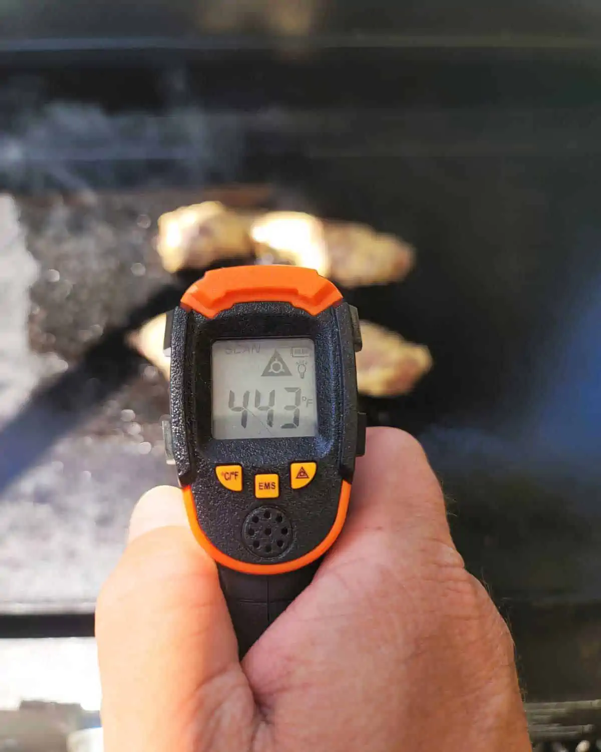 Photo of an Infarared thermometer measuring a griddle temperature of 443° F.