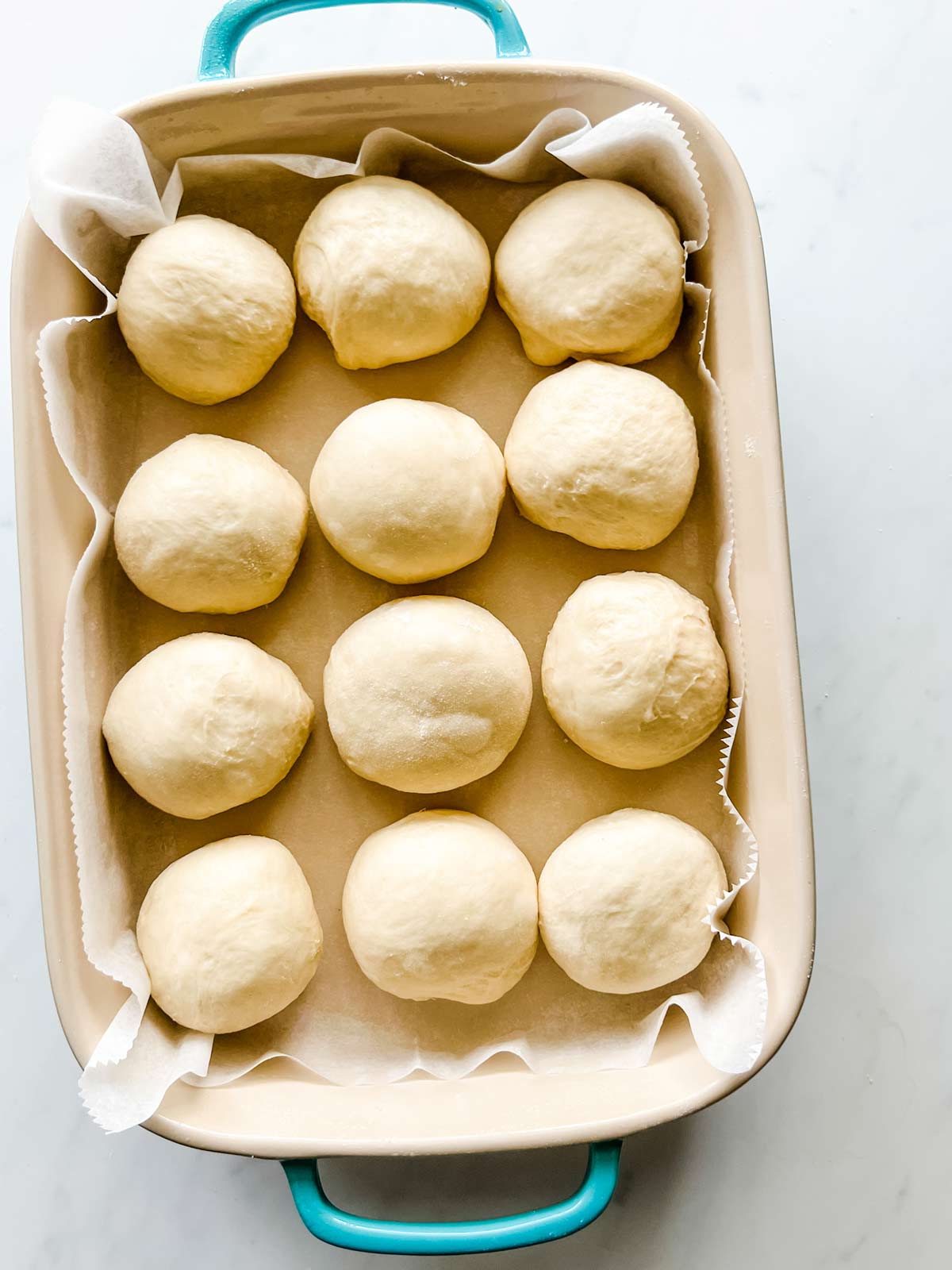 Dinner rolls in a baking pan ready to rise.