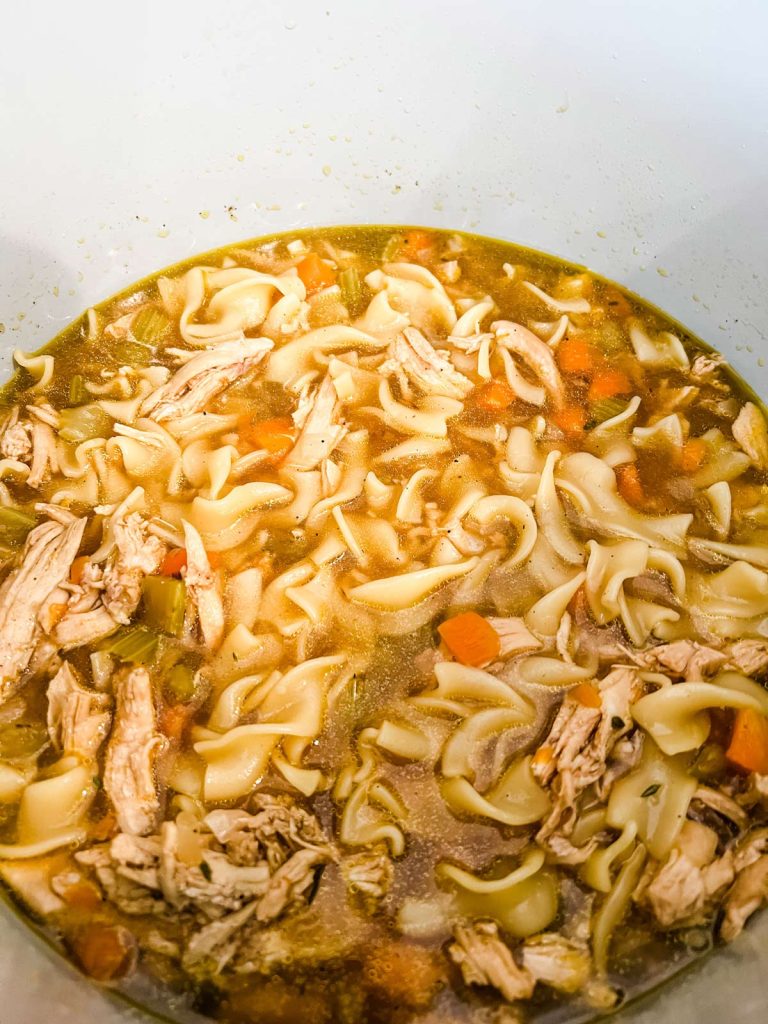 30Minute Ninja Foodi Chicken Noodle Soup Wendy Polisi