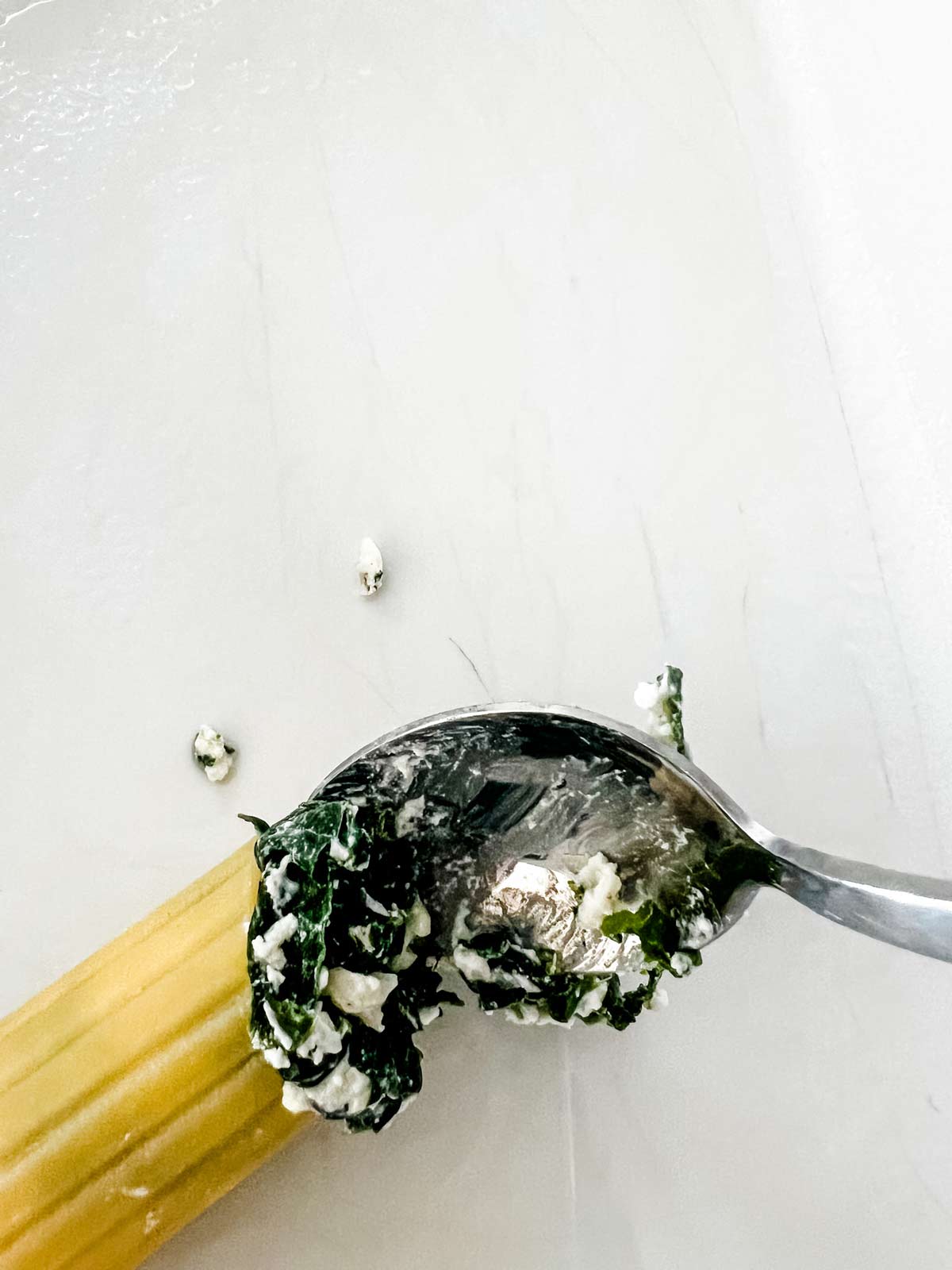Photo of a cooked manicotti noodle being stuffed with a chicken spinach ricotta mixture.