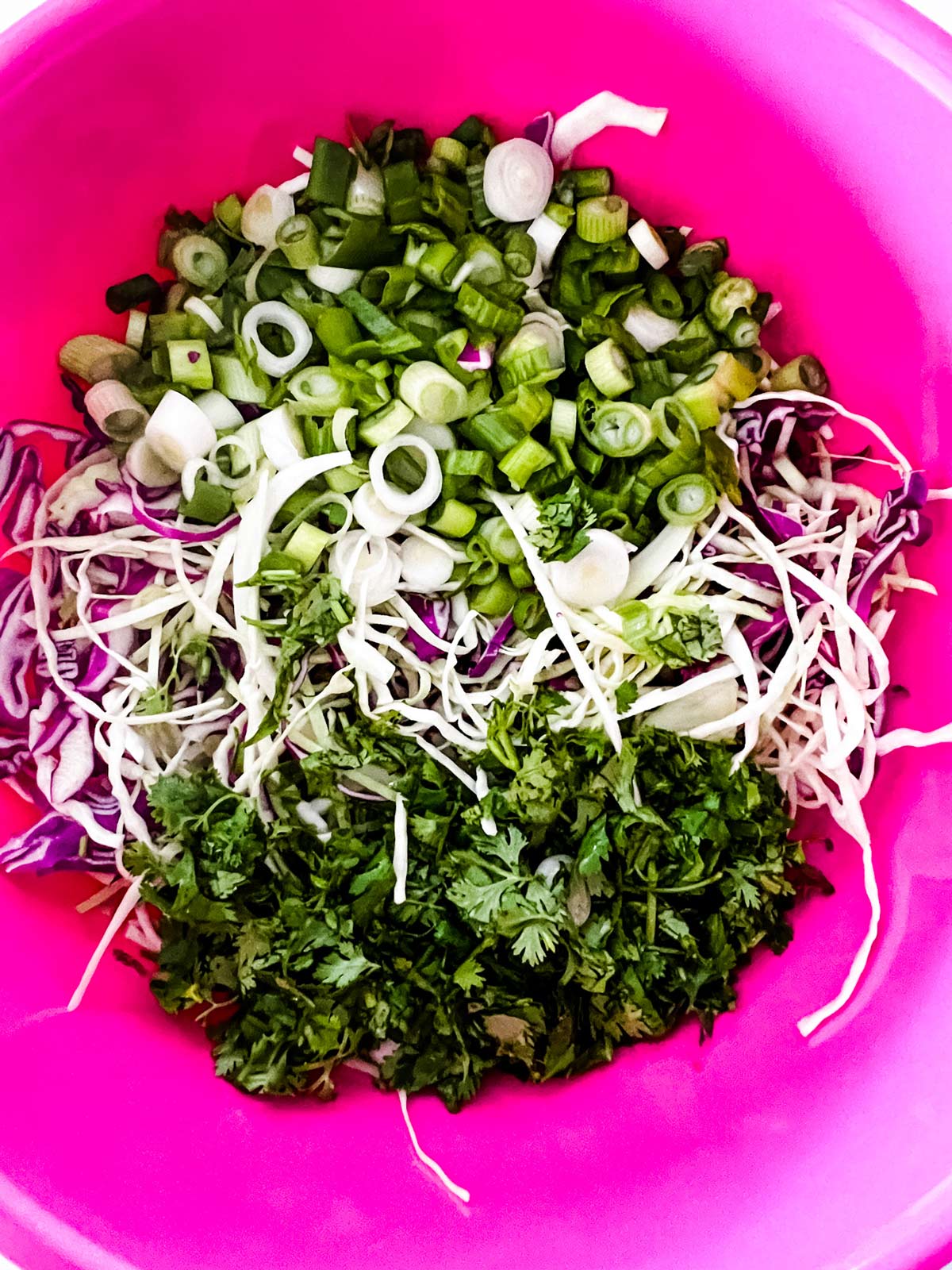 Shredded cabbage, cilantro and green onion in a large bowl.