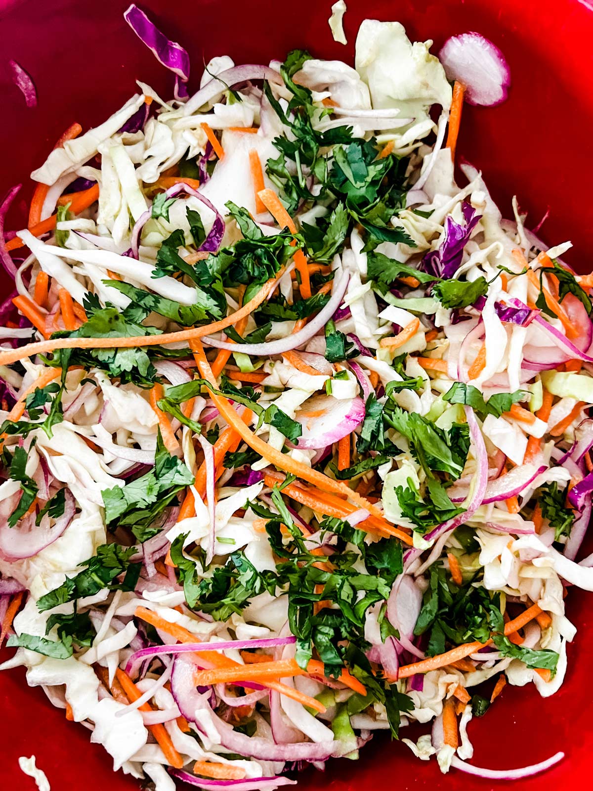 Mexican slaw with cilantro in a red mixing bowl.
