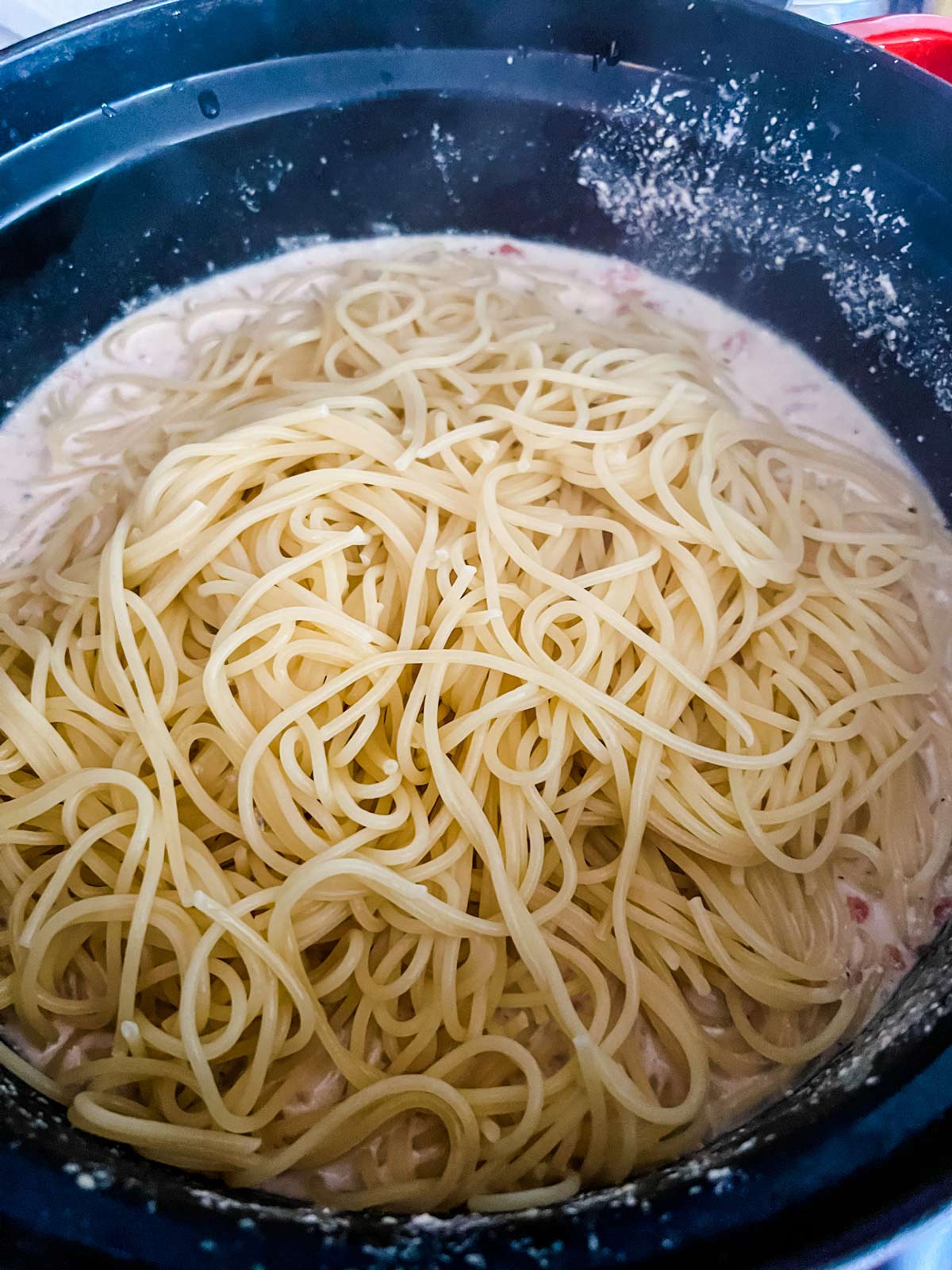 Pasta on top of the  sauce for chicken spaghetti.
