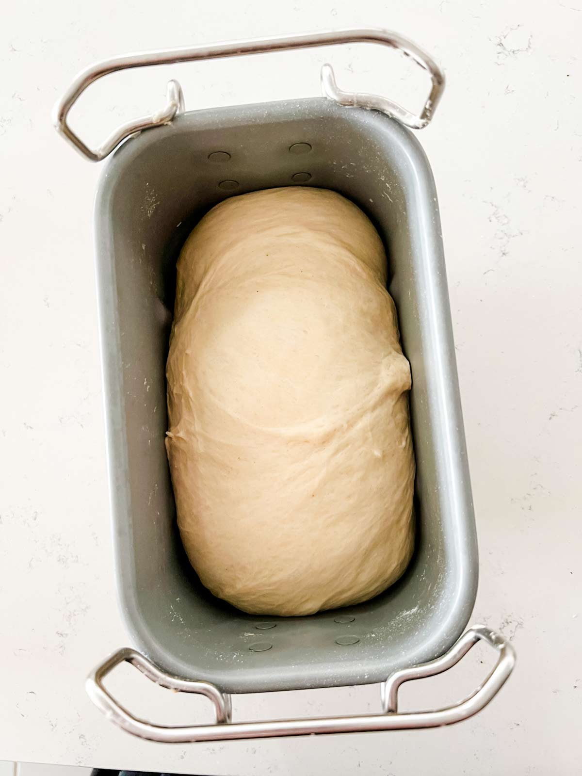 Overhead photo of monkey bread dough in a bread machine.