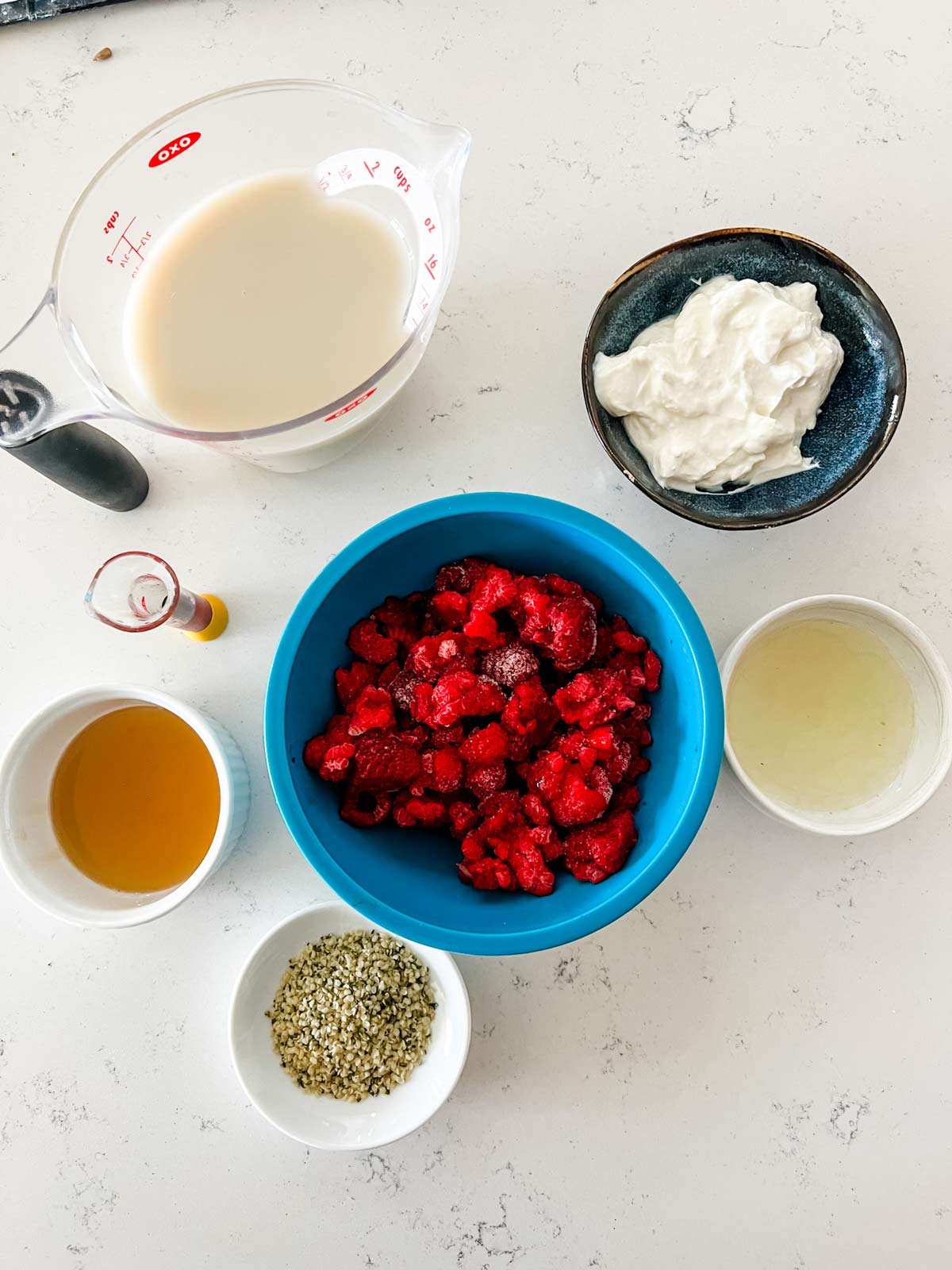 Overhead photo of oat milk, yogurt, honey, lemon juice, hemp seeds, and raspberries.