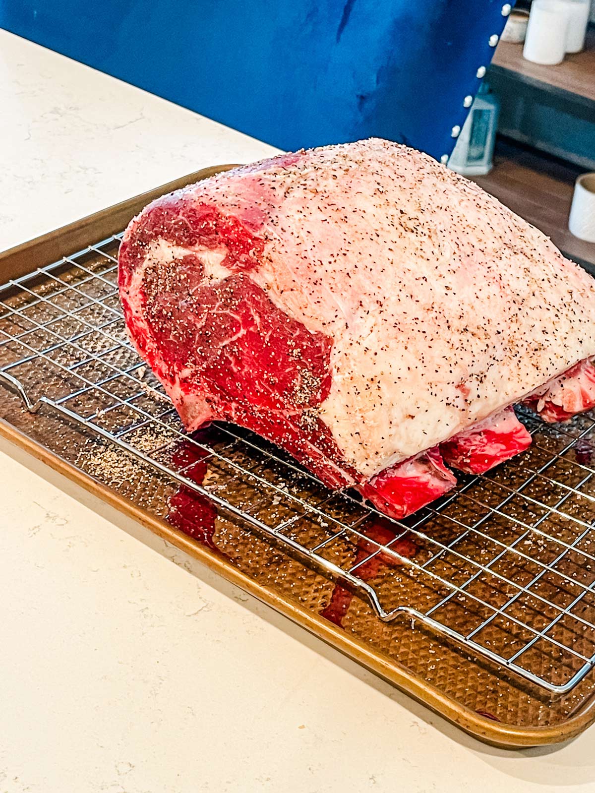 Seasoned prime rib roast in a rack sitting over a baking sheet after refrigerating overnight.