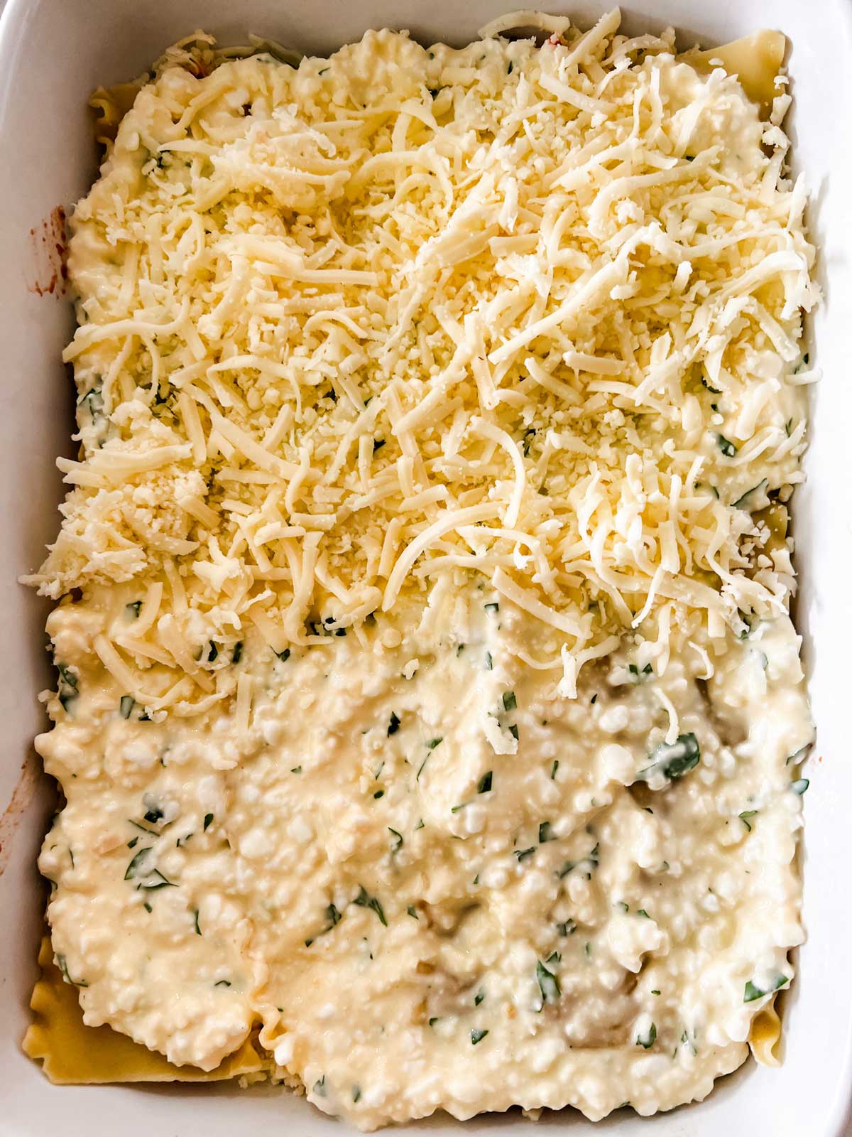 Layered lasagna that has had a full cottage cheese layer and is having cheese sprinkled on top.