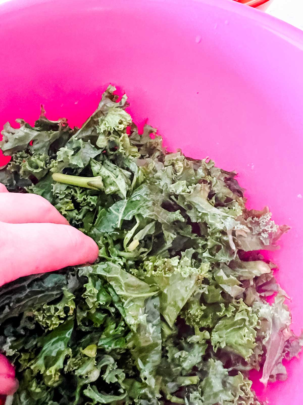 Overhead photo of kale being massaged in a pink bowl.