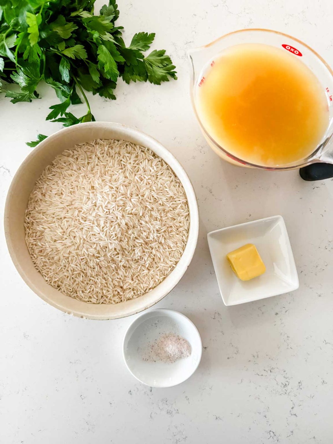 Nija Rice 20-Minute Ninja Foodi Rice - Wendy Polisi