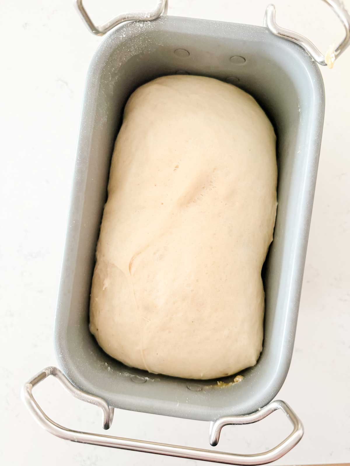 Pizza dough in a bread machine ready to roll out.