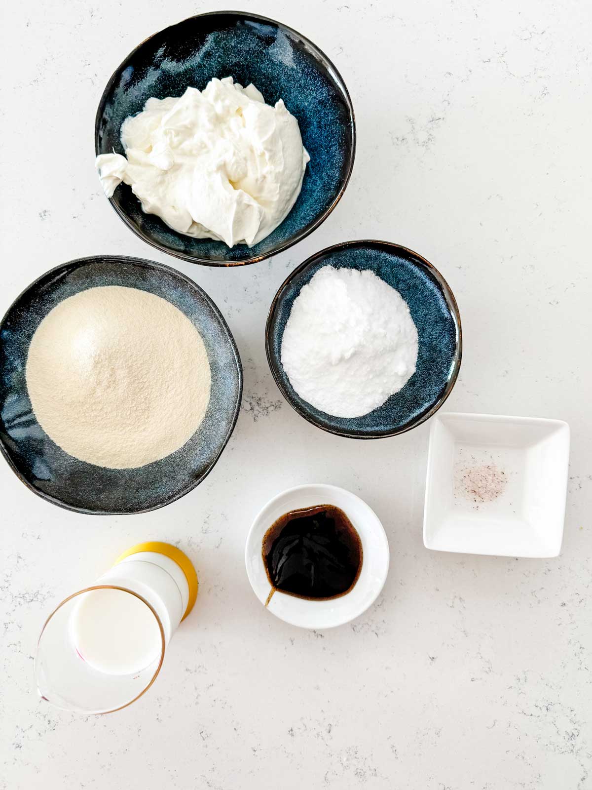 Overhead photo of yogurt, milk protein powder, vanilla bean paste, allulose and salt.