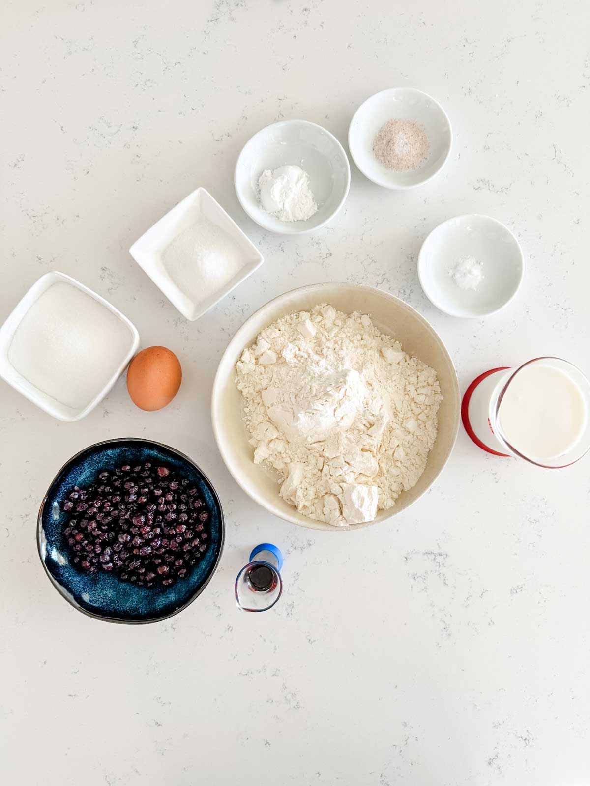 Overhead photo of blueberries, vanilla, milk, egg, flour, sugar, salt, baking powder, and baking soda.