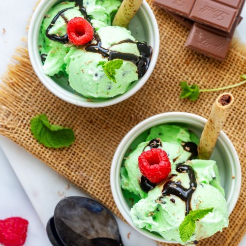 Ninja Creami Mint Chocolate Chip Ice Cream - Wendy Polisi