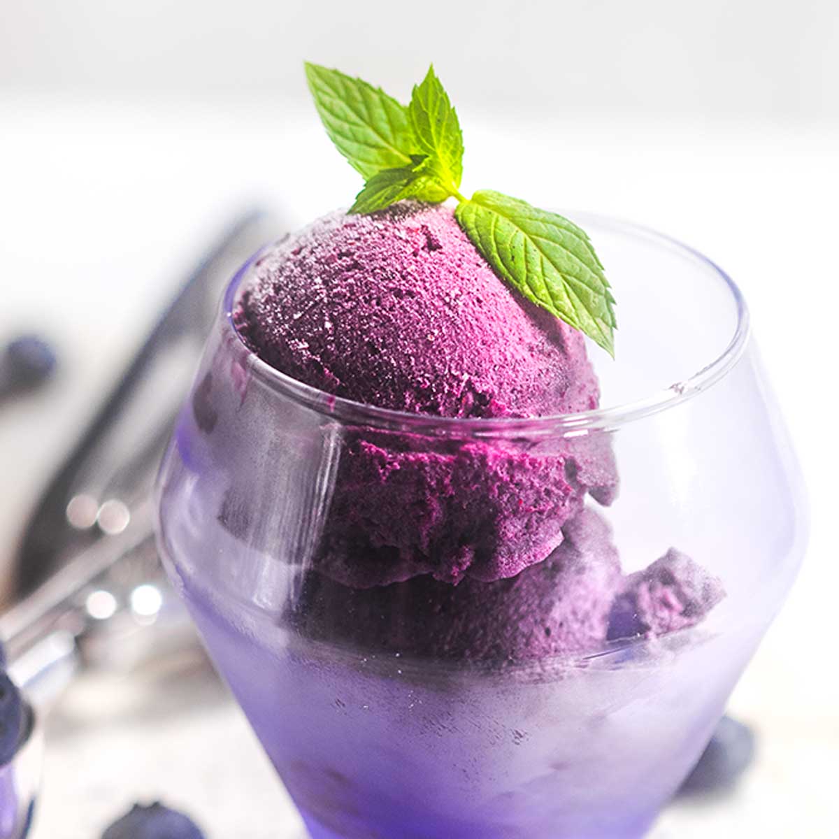 フレーバーズ Blueberry Icecream FLAVORS KAIEDA ブルーベリーアイス