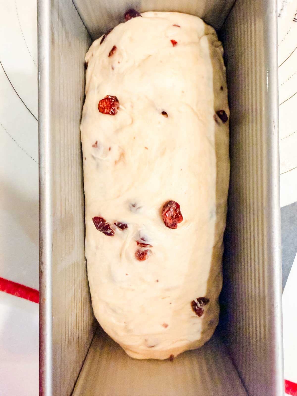 A loaf of unbaked bread dough with visible cranberries placed in a rectangular metal loaf pan, ready for baking.