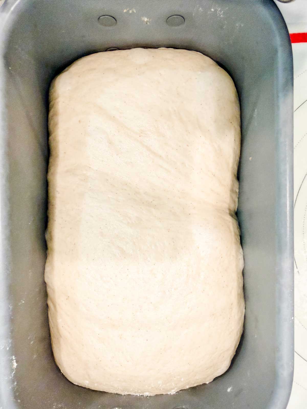 A close-up of risen bread dough in a rectangular metal container, ready for baking. The dough is smooth and puffy, evenly filling the shape of the pan.