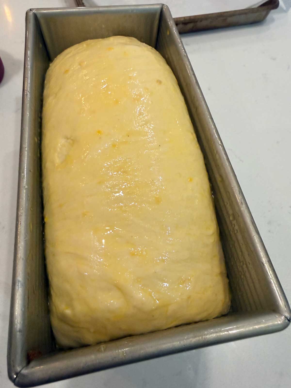 A loaf of unbaked bread dough, smooth and yellowish, rises in a metal loaf pan on a light-colored countertop.