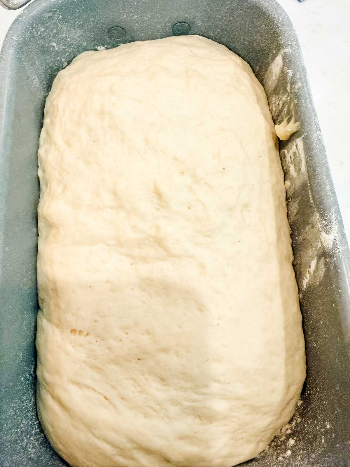 A loaf pan filled with risen bread dough, ready to be baked. The dough is smooth and slightly puffy, filling most of the metal pan.
