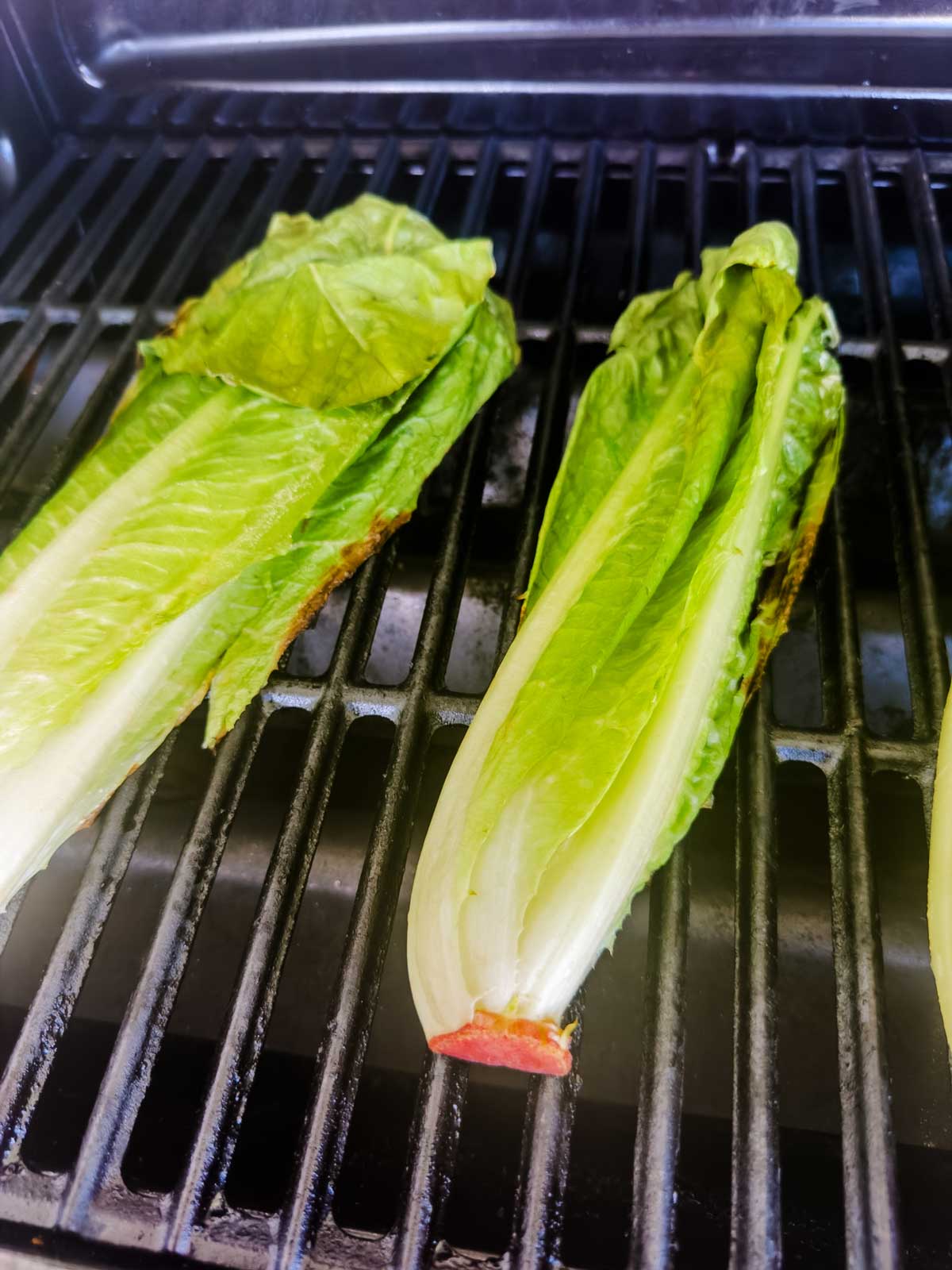 Three halves of romaine lettuce are being grilled on a barbecue, with visible grill marks and slightly charred edges on the leaves.