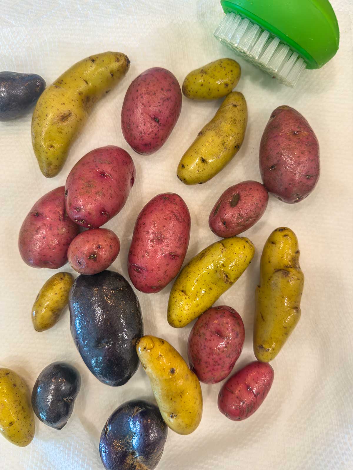 A variety of small, unpeeled potatoes in yellow, red, and purple are spread on a white paper towel, ready to be used in a fresh greek potato salad; a green and white scrubbing brush sits in the top right corner.